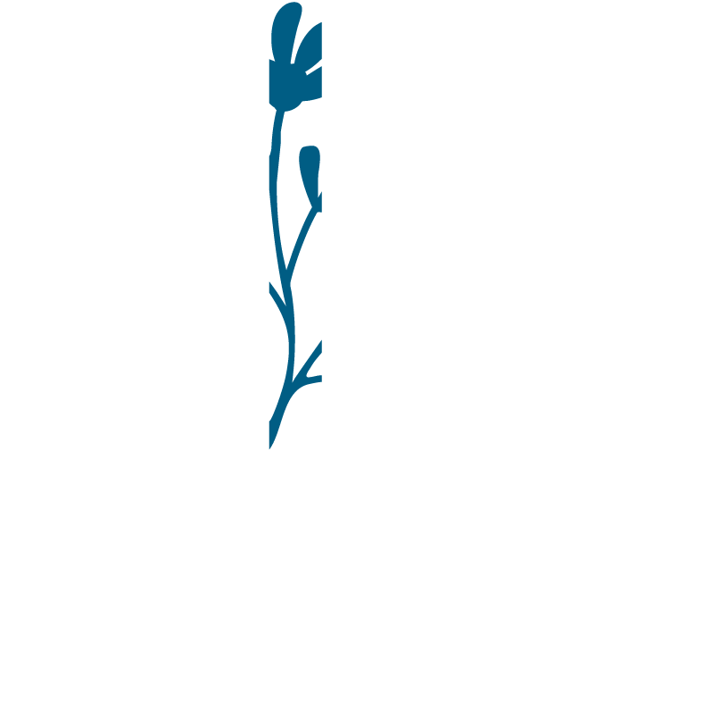 Alfa Clinique Soins Infirmiers