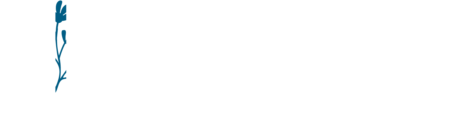 Alfa Clinique Soins Infirmiers